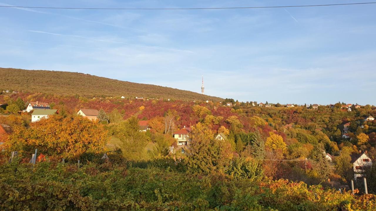 Hillside Cottage Pécs Esterno foto